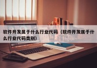 软件开发属于什么行业代码（软件开发属于什么行业代码类别）