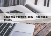 小程序开发平台哪家好2022（小程序开发怎么样）