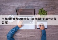 十大软件开发公司排名（国内最好的软件开发公司）