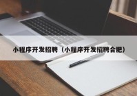 小程序开发招聘（小程序开发招聘合肥）