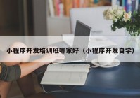 小程序开发培训班哪家好（小程序开发自学）