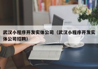 武汉小程序开发实体公司（武汉小程序开发实体公司招聘）