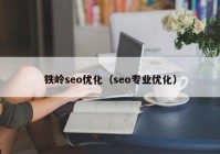 铁岭seo优化（seo专业优化）