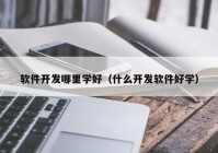 软件开发哪里学好（什么开发软件好学）