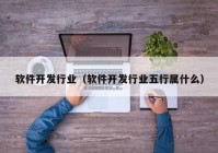 软件开发行业（软件开发行业五行属什么）