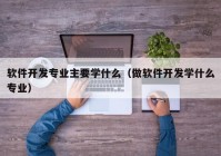 软件开发专业主要学什么（做软件开发学什么专业）