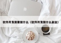 软件开发需要做什么（软件开发做什么副业）