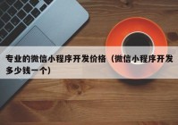 专业的微信小程序开发价格（微信小程序开发多少钱一个）