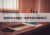 软件开发公司简介（软件开发公司的简介）