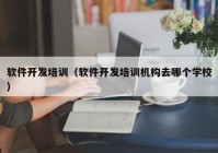 软件开发培训（软件开发培训机构去哪个学校）