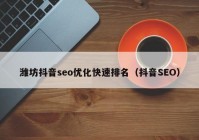 潍坊抖音seo优化快速排名（抖音SEO）