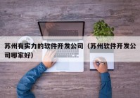 苏州有实力的软件开发公司（苏州软件开发公司哪家好）