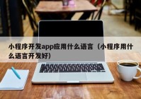 小程序开发app应用什么语言（小程序用什么语言开发好）