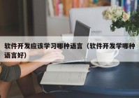 软件开发应该学习哪种语言（软件开发学哪种语言好）