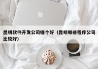 昆明软件开发公司哪个好（昆明哪些程序公司比较好）