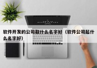 软件开发的公司取什么名字好（软件公司起什么名字好）