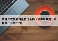 软件开发类公司是做什么的（软件开发类公司是做什么的工作）