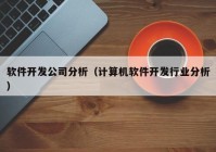 软件开发公司分析（计算机软件开发行业分析）