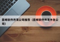 昆明软件开发公司推荐（昆明软件开发外包公司）