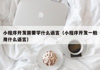 小程序开发需要学什么语言（小程序开发一般用什么语言）